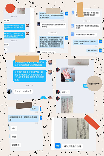 杨丽玉图2_副本.jpg